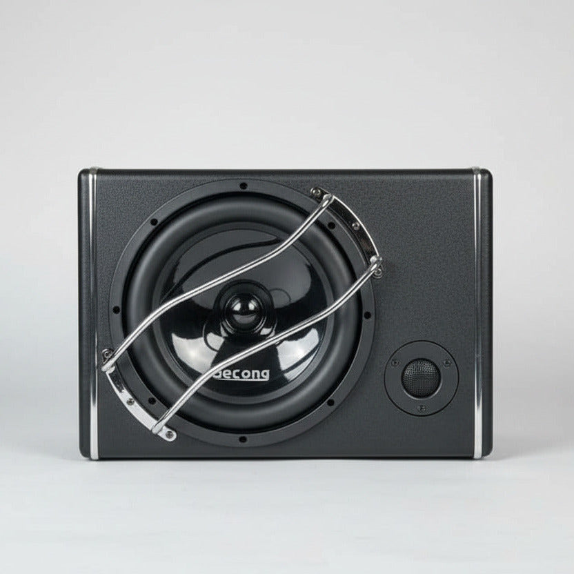 GeLong 10 Inch Active Subwoofer Box with Built-In Amplifier