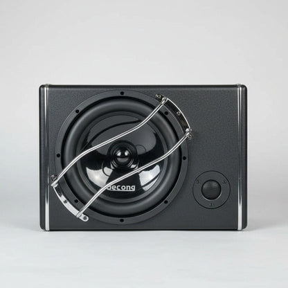 GeLong 10 Inch Active Subwoofer Box with Built-In Amplifier