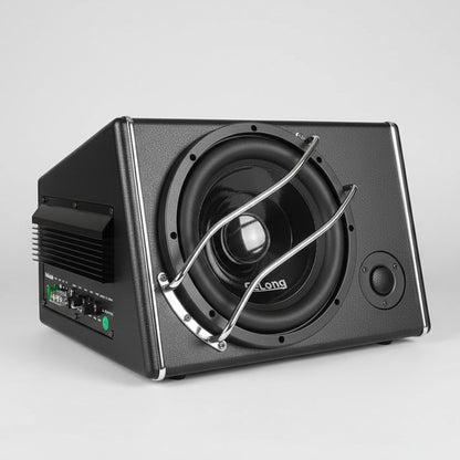 GeLong 10 Inch Active Subwoofer Box with Built-In Amplifier