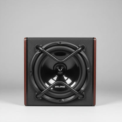GeLong 12 Inch Active Subwoofer Box with Built-In Amplifier