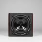 GeLong 12 Inch Active Subwoofer Box with Built-In Amplifier