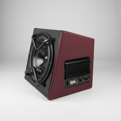 GeLong 12 Inch Active Subwoofer Box with Built-In Amplifier