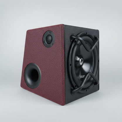 GeLong 12 Inch Active Subwoofer Box with Built-In Amplifier
